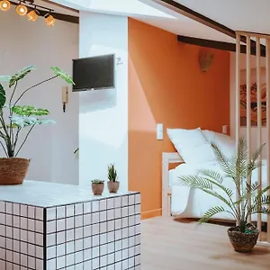 Le Nid Douillet De L'hypercentre Apartamento Toulouse